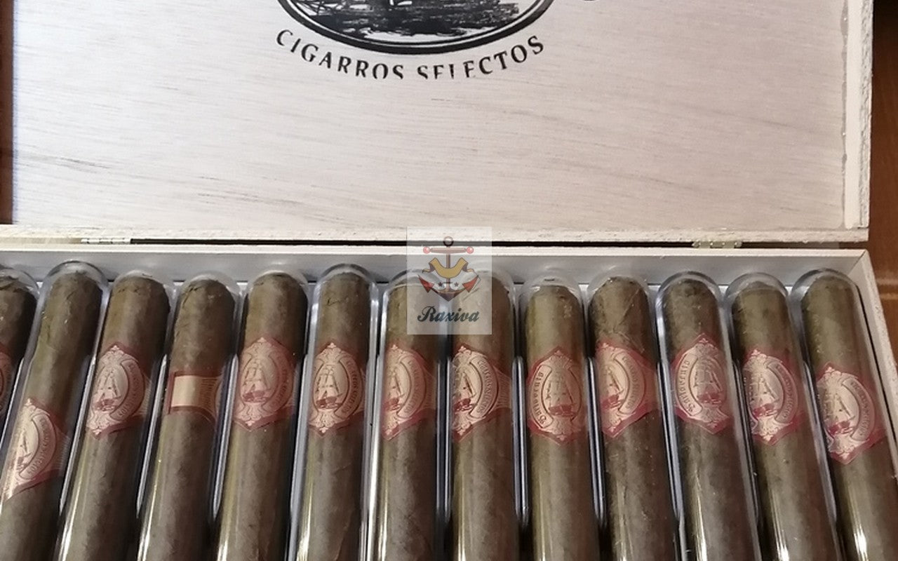 25 PURO BARLOVENTO TUBULAR