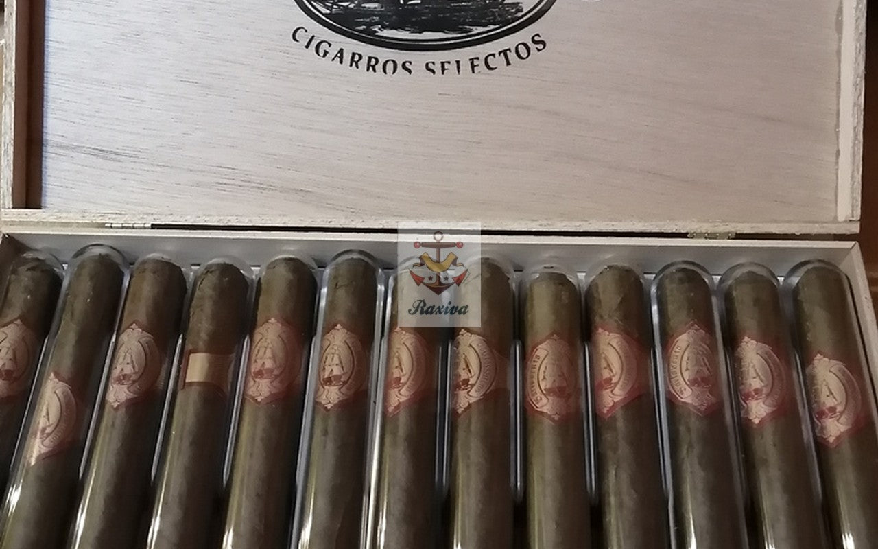 25 PURO BARLOVENTO TUBULAR